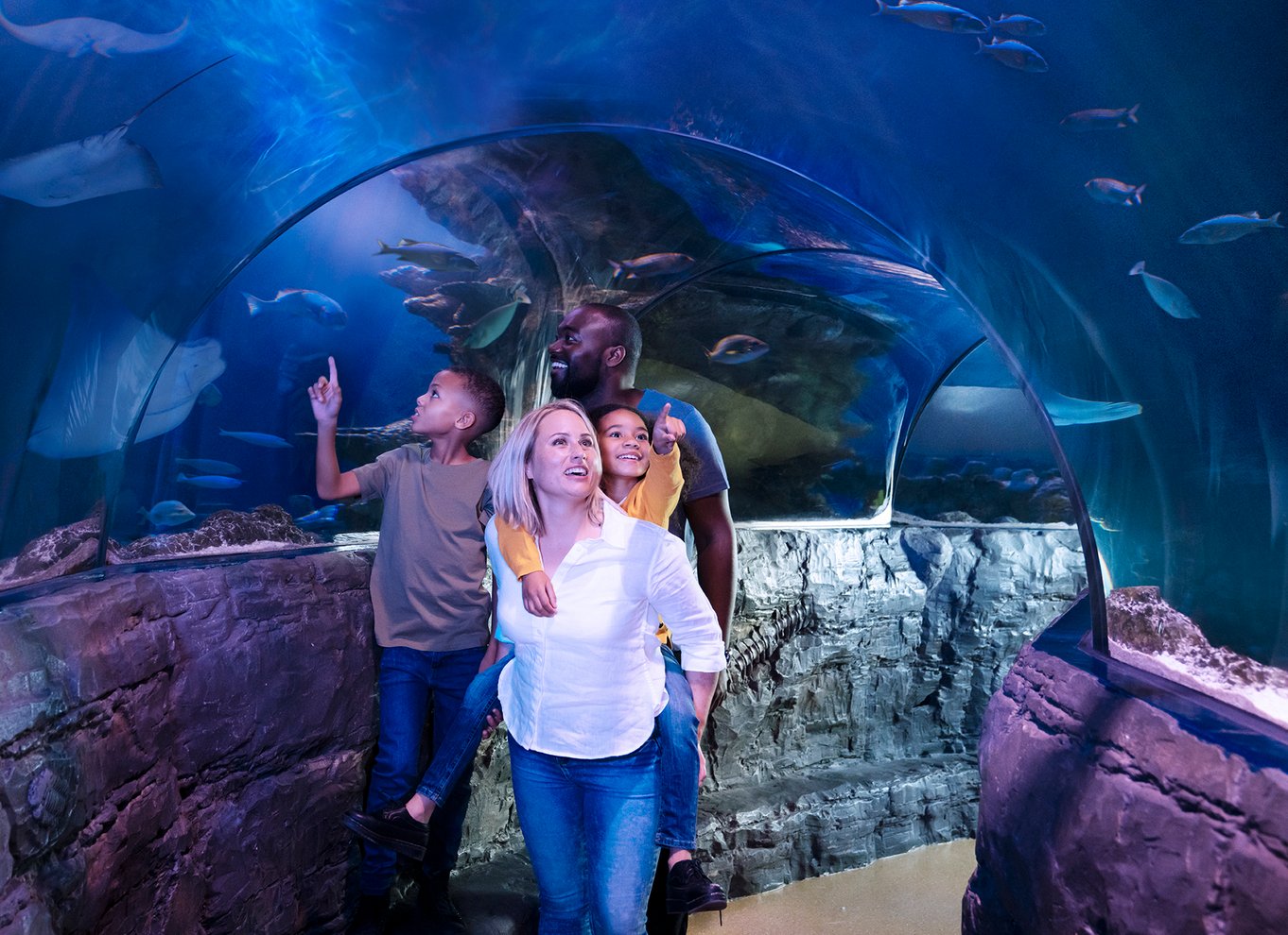 Entré til LEGOLAND California og SEA LIFE Akvarium