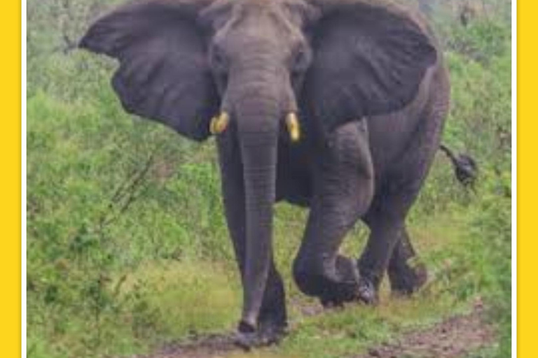 Addis Abeba: 7-dniowa wycieczka do parków narodowych Chebera i Maze