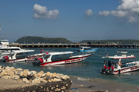 Nusa Penida: Snorkeling Adventure 3-Spots with Manta Rays Nusa Penida: Snorkeling Manta Point 3-Spots with Manta Rays
