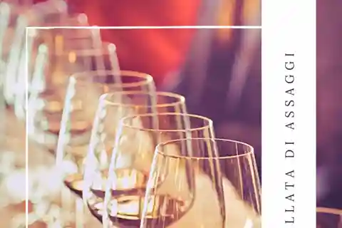 Guided tasting of local wines