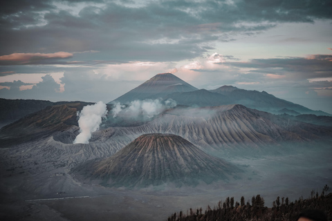 Surabaya/Malang/Probolinggo: 2D1N Bromo & Ijen W/ Bali drop Malang:2D1N budget sharing tour Bromo & Ijen W/ Bali dropoff
