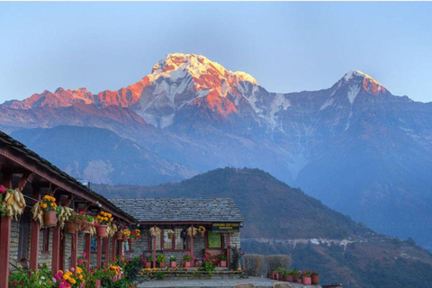 Katmandou : 3 jours de randonnée guidée à Ghorepani Poon HillAu départ de Katmandou : randonnée de 3 jours à Poon Hill au lever du soleil