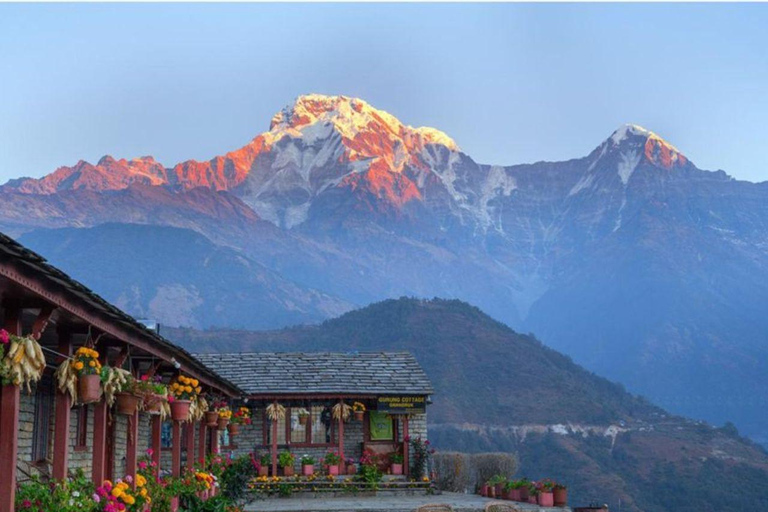 Katmandou : 3 jours de randonnée guidée à Ghorepani Poon HillAu départ de Katmandou : randonnée guidée de 3 jours au lever du soleil à Poon Hill