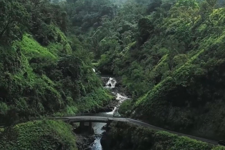 Maui: Open-Air Road to Hāna Jungle Adventure Tour Open-Air! Road to Hana Jungle Adventure Tour! (5.5 Hours)