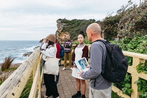 Sydney: Excursão de mergulho com snorkel em Manly e Shelly Beach