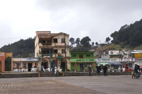 Au départ de Tuxtla Gutierrez : circuit de 4 jours à Palenque et au ChiapasDepuis Tuxtla Gutierrez : circuit de 4 jours à Palenque et au Chiapas