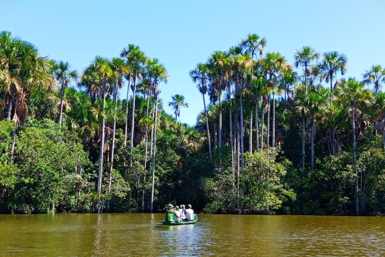From Tambopata: Amazon Jungle Hike and Lake Sandoval 1-Day Tambopata: Trekking through the jungle and Lake Sandoval