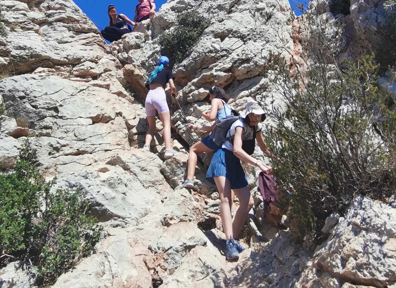 Marseille: Guidet vandretur i Calanques Nationalpark med picnic