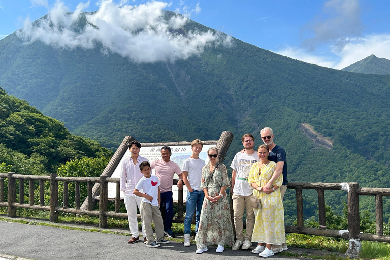 Nikko Tour privado desde y hacia Tokio hasta 12 Invitados