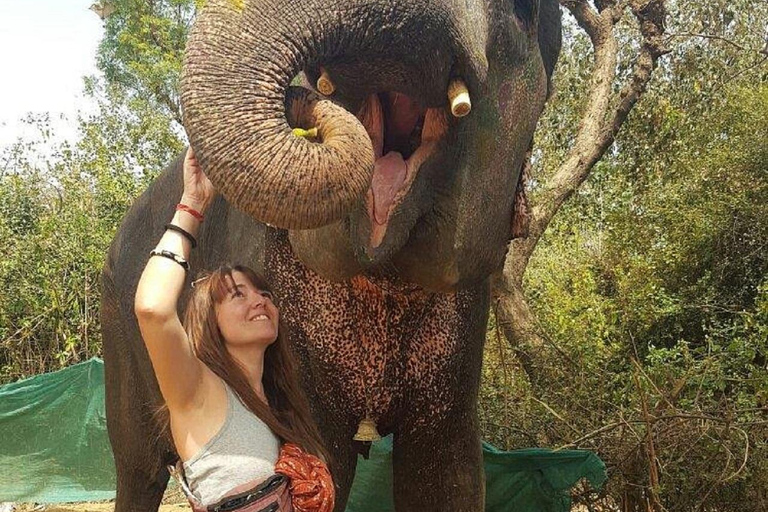 Jaipur: Hathigao Elephant Village Ride, Feeding, & Photos Riding, Feeding, Climbing And Photography with Elephant