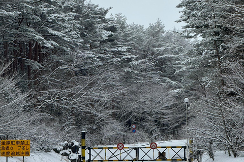 Von Tokio aus: Private Tagestour zum Berg Fuji und nach Hakone