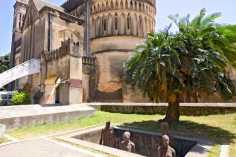 Zanzibar: Prison Island & Stone Town Half-Day Tour Hotel Transfers included ( prison fees 12 USD Pp excluded)
