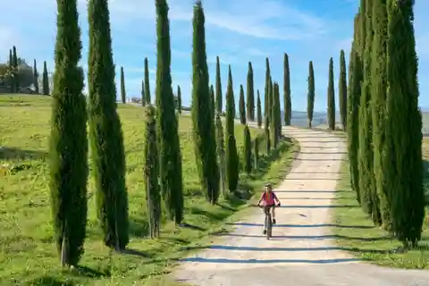 Firenze: Tour del Chianti in E-Bike con pranzo e due degustazioni di vini