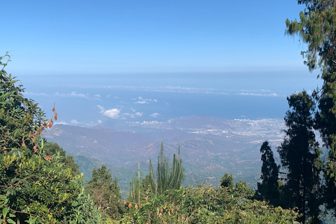 Entre Nubes - Sunrise at Cerro Kennedy, Pozo Azul, and Cacao Experience Between Clouds, Pozo Azul, and Cacao – Departure from the Minca Bridge