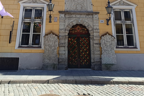 Old Tallinn & Medieval Past Private Tour