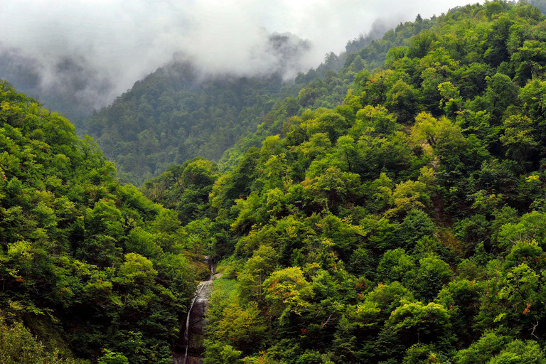 Batumi: Traditional Dinner, Wine & Dance with Waterfalls