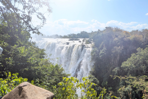 Livingstone: Victoria Falls Cross-Border Experience
