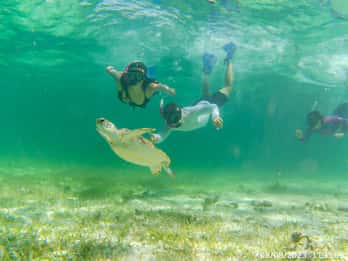 Mahahual: Passeio de barco para fazeres snorkeling