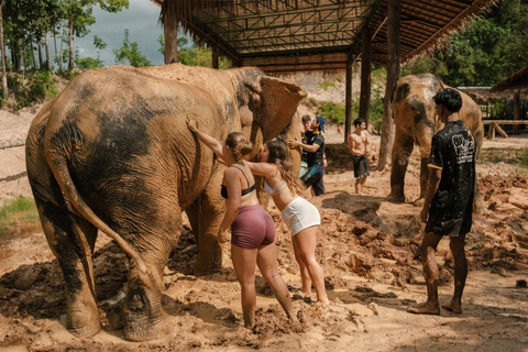 Krabi:Excursão ao santuário de elefantes perto de Ao Nang