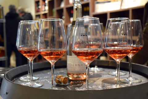 Tarragona: Wine Cathedral Tour Wine, Cava and Food Tasting