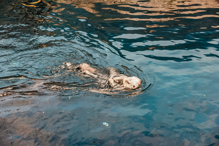 Oceanarium van Lissabon: toegangsticket