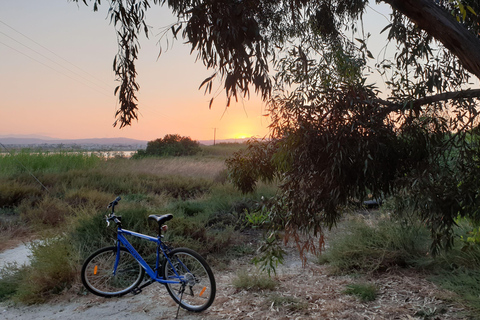 Larnaca: Salt Lake & Cultural Highlights Guided Bike Tour