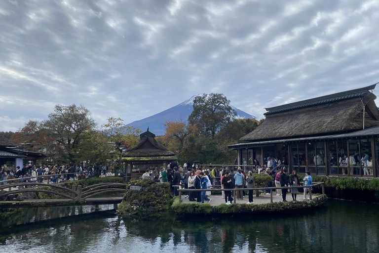 Fuji: kultur, skog och utsikt – privat skräddarsydd turFuji-kultur, skog och naturskön utsikt: Privat skräddarsydd tur