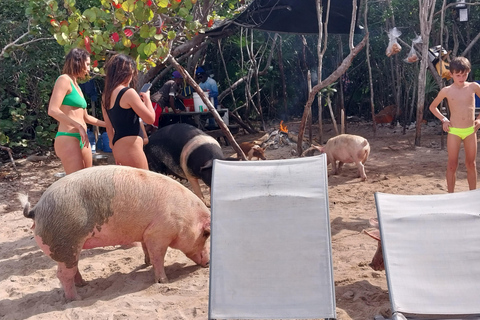 Bateau privé Cochons, tortues, plongée avec masque et tuba sur le récif et bar de plage ⛱️Faire durer les souvenirs avec un groupe privé famille et amis