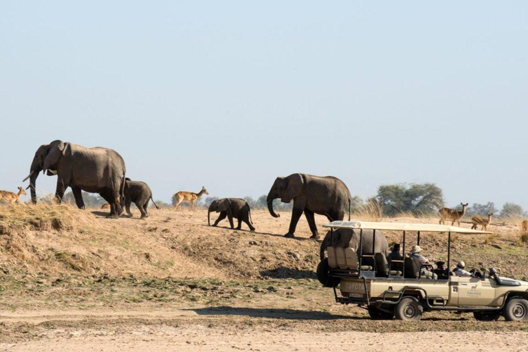 Zanzibar: Fly to Mikumi National Park for a Day Safari