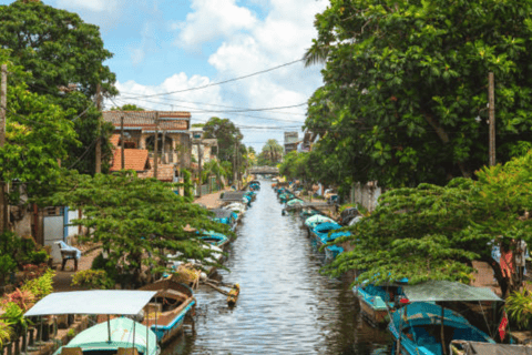 Sri Lanka: 9-Day Beach and Relaxation Tour with Transfers Excluding Hotels in a private Car