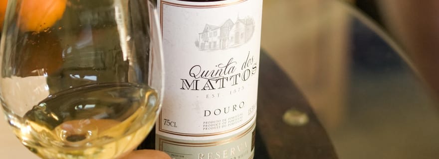 Douro Premium : dégustation de vins, déjeuner traditionnel et belvédère de Galafura