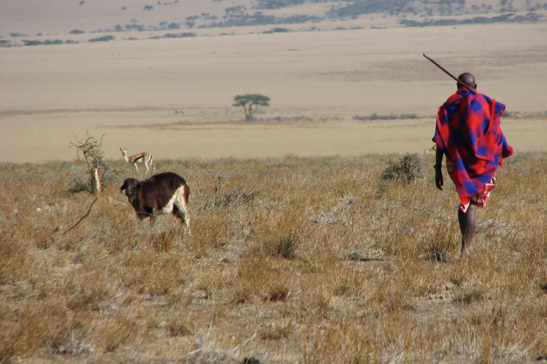 Wycieczka kulturalna do wioski Masajów