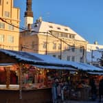 Municipio di Tallinn con una guida