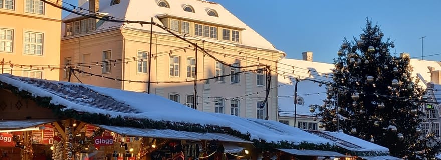 Hôtel de ville de Tallinn avec un guide