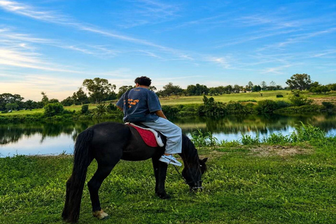 Hammamet: Sunset Horseback Riding Experience with Cocktail