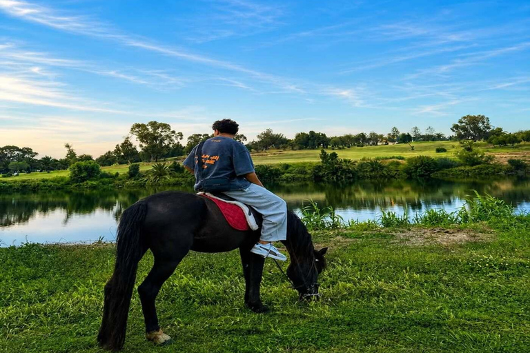 Hammamet: Sunset Horseback Riding Experience with Cocktail