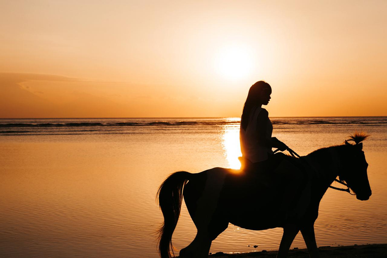 Oman-Salalah: Sunset Beach Horseback Ride with Hotel Pickup