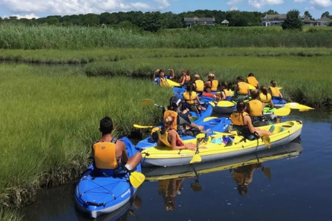 Oak Bluffs: Kayak Tour with Wildlife Single Kayak