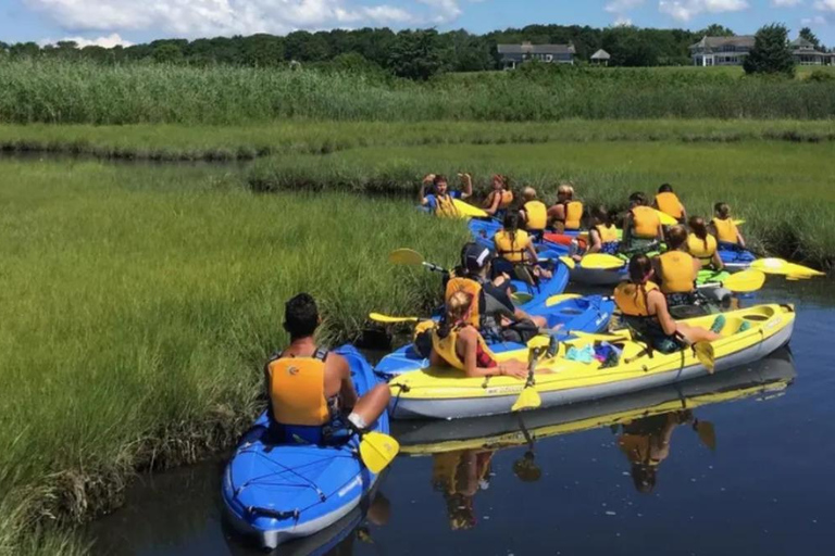 Oak Bluffs: Kayak Tour with Wildlife Single Kayak