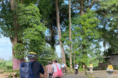 Ubud: Downhill-cykeltur med risfält, vulkan och måltidPrivat grupp
