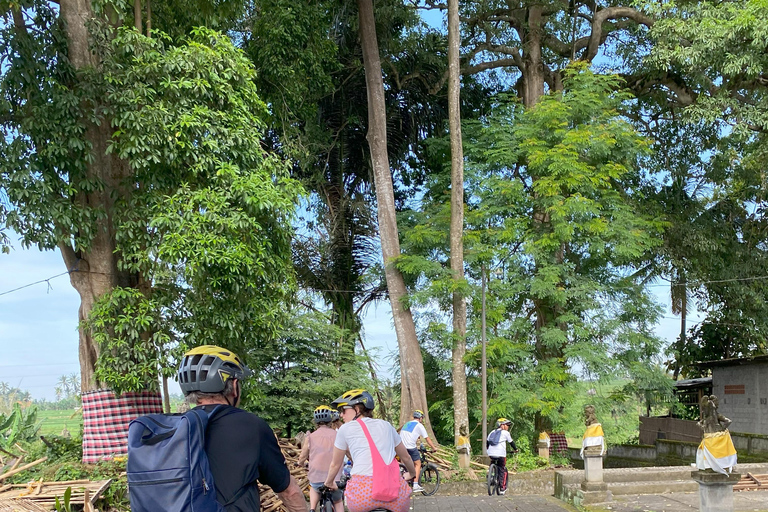 Ubud: Downhill-cykeltur med risfält, vulkan och måltidPrivat grupp