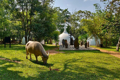 Chiang Mai: Chiang Rai tempel, Gyllene triangeln &amp; båttur