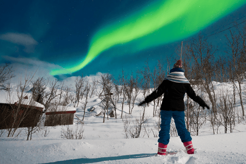 Rovaniemi: Local Guide Guarantee Northern Lights Hunt