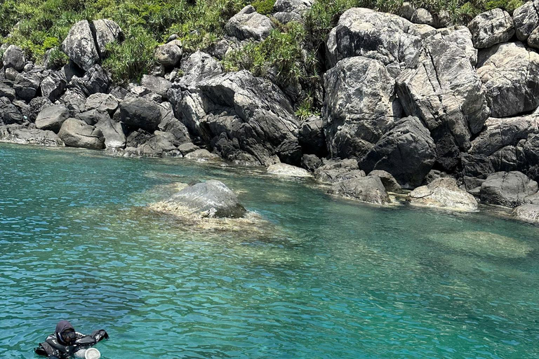 Da Nang/Hoi An: Cham Islands Snorkeling Trip with Lunch Da Nang/Hoi An: Cham Islands Snorkeling Trip with Lunch