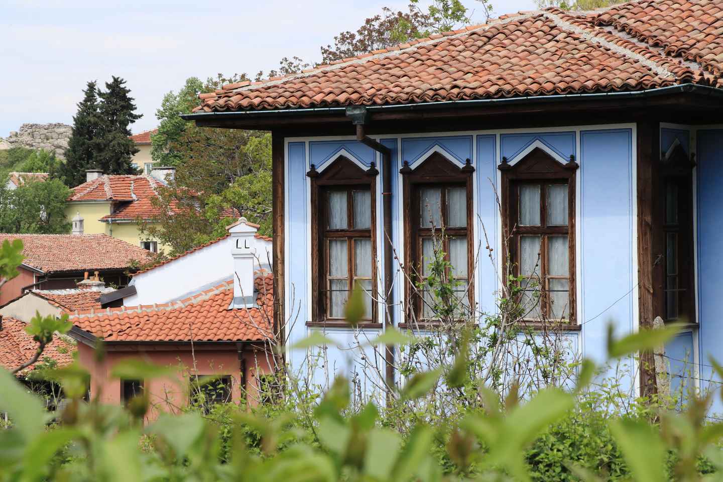 Da Sofia: Tour di Koprivshtitsa e Case Storiche con Transfer