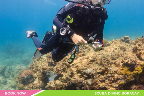 Beneath the Waves of Boracay: A Scuba Adventure
