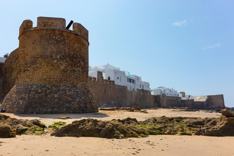 From Tangier: Asilah Guided Tour with Camel Ride