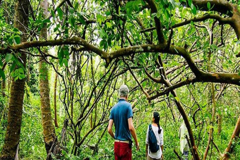 ZANZIBAR: Stone Town and Jozani Forest tour Tour without Hotel pickup and drop off