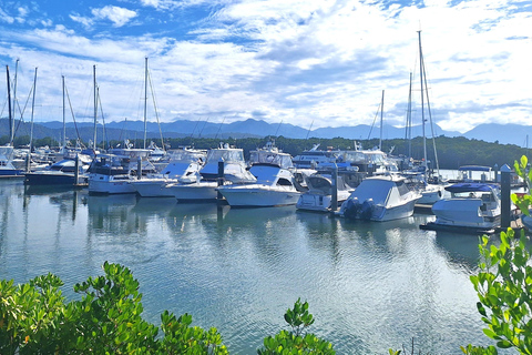 Cairns: Port Douglas, Winery, and Mossman Gorge Tour