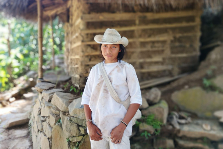 Minca : soirée autour d'un feu de camp, cérémonie du cacao indigène et musique Wiwa